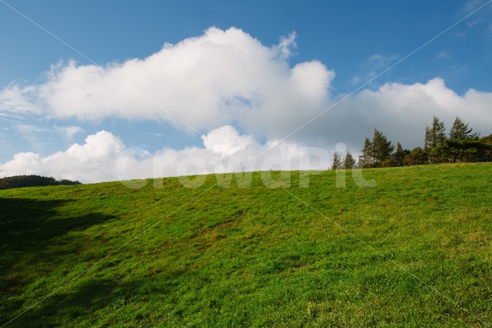 구름,하늘,잔디,풍경,바탕화면,감성,자연,풍경,nature,landscape