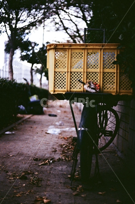 자전거,거리,감성,필름사진,노란색,뒷모습