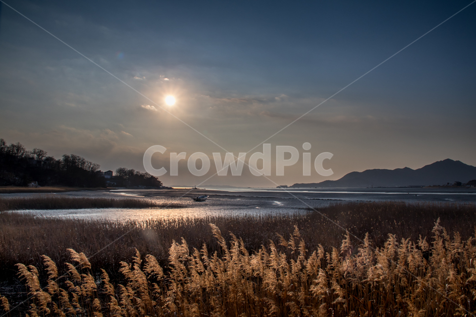 자연,풍경,일몰,갯벌,바다,강화도,하늘,구름,석양,nature,landscape,sunset,sky,clouds,가을,계절,fall,autumn,season,자연,풍경,nature,landscape,한국자연풍경,한국자연경관,korea nature landscape,plant,식물,grass,잔디,lawn,reed,갈대