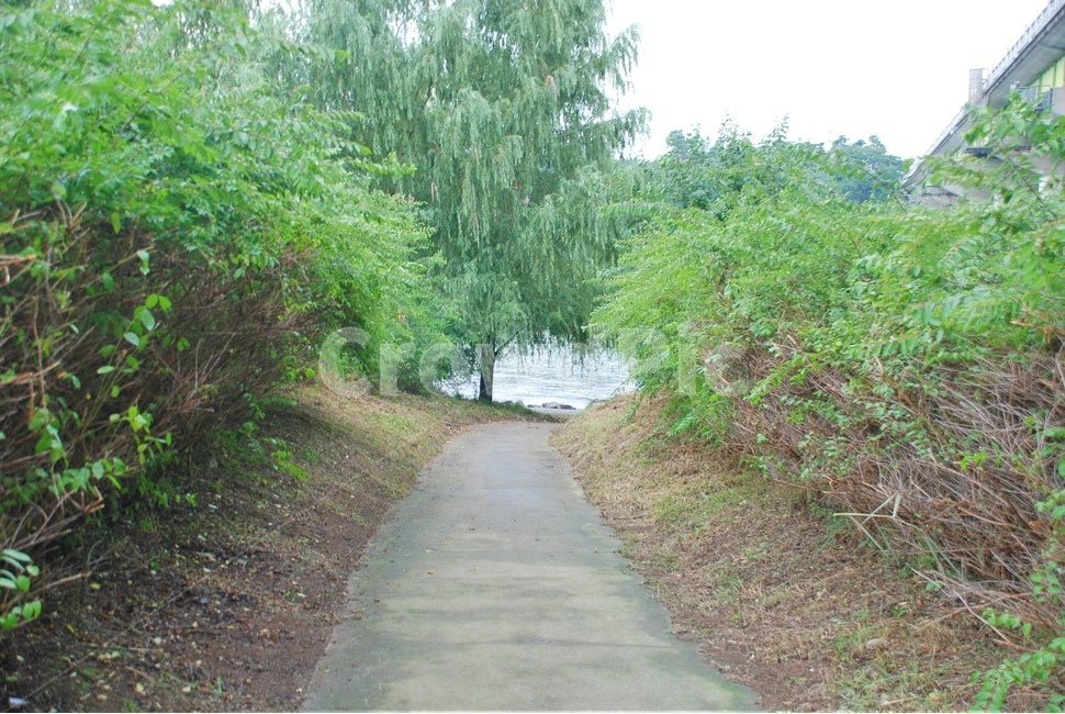 길,한강,나무,강,초록색,자연,풍경,nature,landscape,road,도로