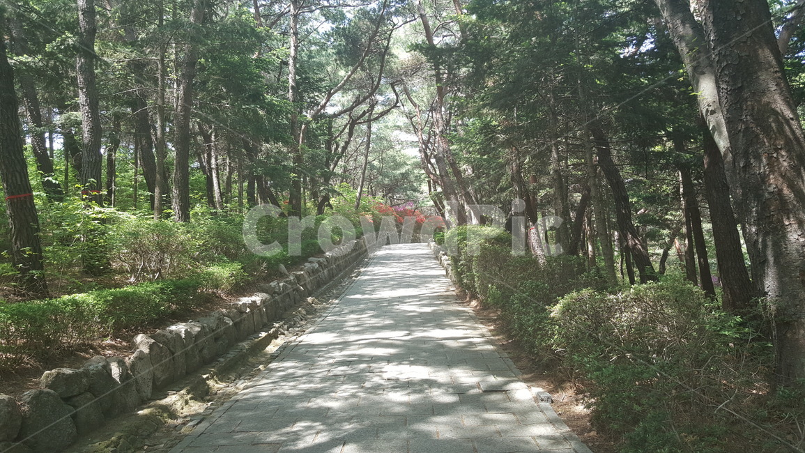 한옥,경주,기와집,돌담,문화재