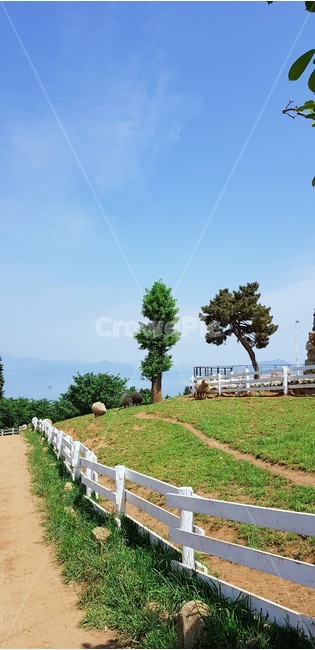 남해,목장,풍경,양떼목장,양목장,울타리
