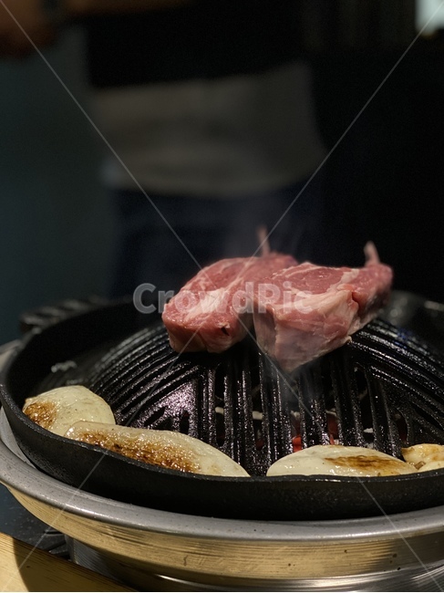 양고기,고기,meat,lamb,양,food,육류,고기,meat