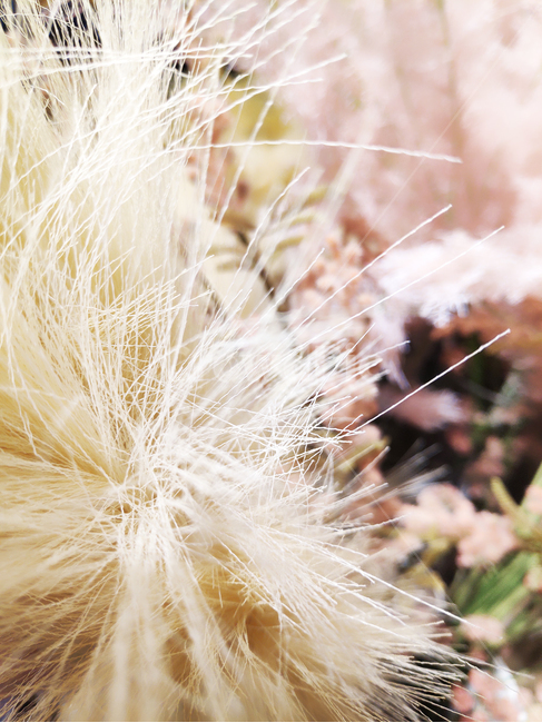 겨울,장식,데코,식물,나무,트리,반짝,winter,tree,shining,ornament,plant,reed,메리크리스마스,성탄절,merry christmas