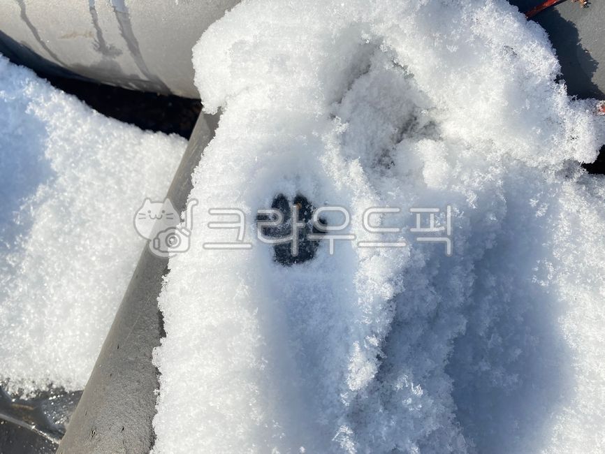 고양이발자국,발자국,동물발자국,눈,snow,footprint