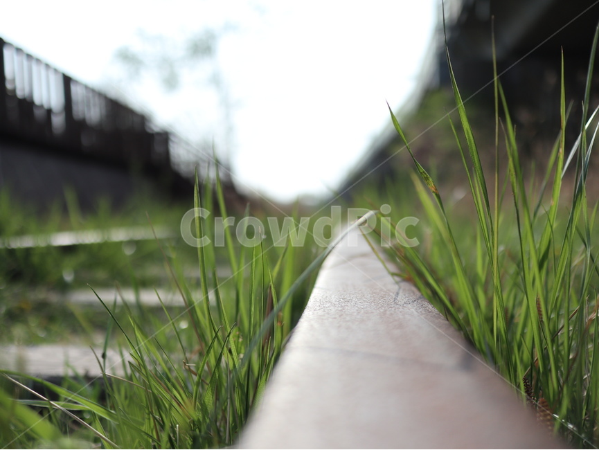 철도,풀,하늘,아웃포커싱,여름,기찻길,철길,잔디,낡은,railroad