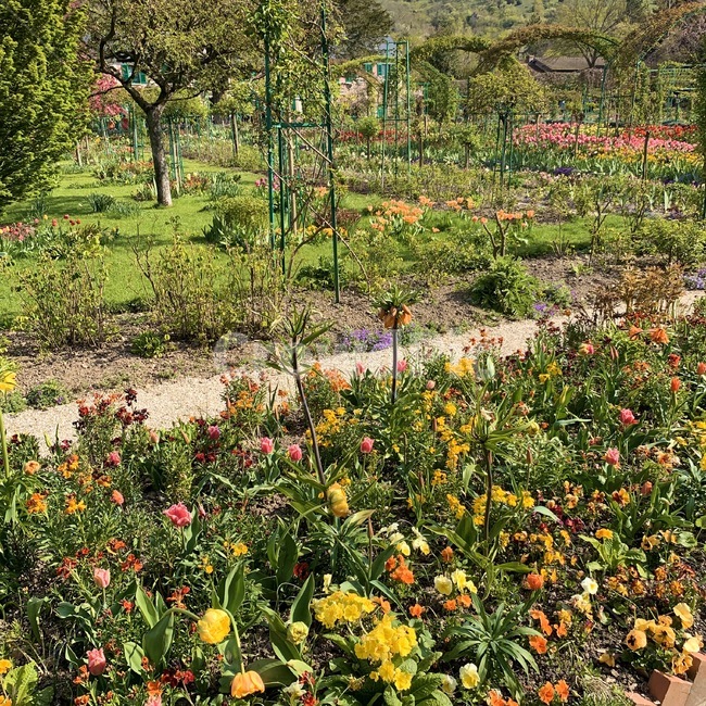 옥외,garden,정원,flower,꽃밭,plant,식물,outdoors
