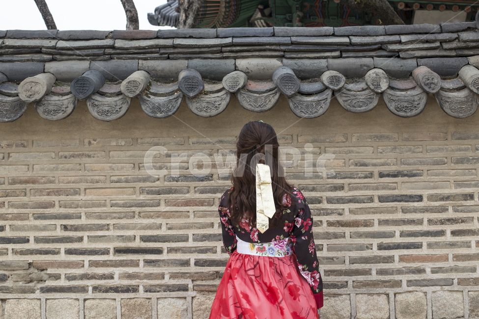 한복,치마,저고리,한국전통,전통의상,전통,의상,궁,고궁,궁궐,댕기,실크,인물,뒷모습,창경궁,창덕궁,담,돌담,여성,한국전통,한국문화,korean traditional,korean culture,한복,한국전통의상,hanbok,korean traditional clothes,사람,인물,인간,human,person,여성,여자,woman,female,lady