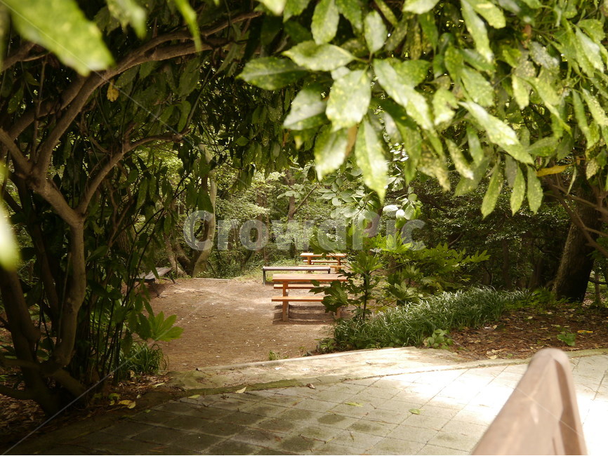 풍경,잔디,쉼터,자연,벤치,휴식,힐링,rest,relaxation,healing