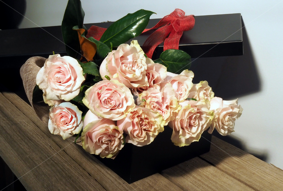장미,꽃,포장,발렌타인데이,사랑,러브,커플,선물,핑크장미,꽃,flower,기념일,축하,anniversary,congratulation,celebrate,celebration