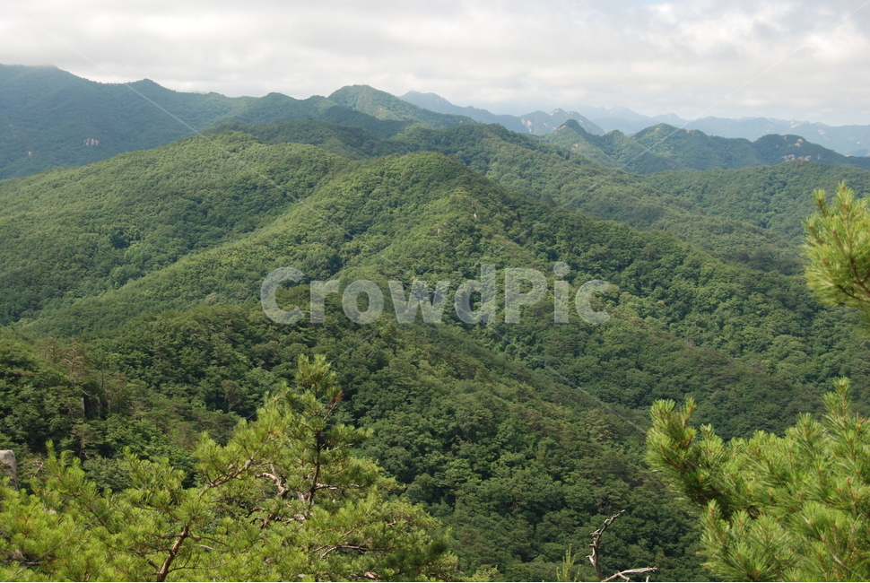 산,자연,여름,하늘,구름,나무,자연,풍경,nature,landscape,outdoors,옥외