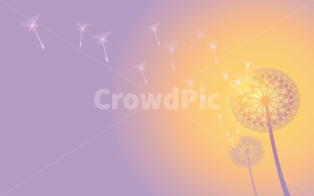 atmosphere,seed,color,Spring background,yellow,backlight,March,emergency,april,sun,spring,spring flowers,white,season,Emotion,gradation,graphic,sensible,Dandelion seeds,feeling,sunlight,emotion,White,blue,cover background,light,background,plant,purple,ill
