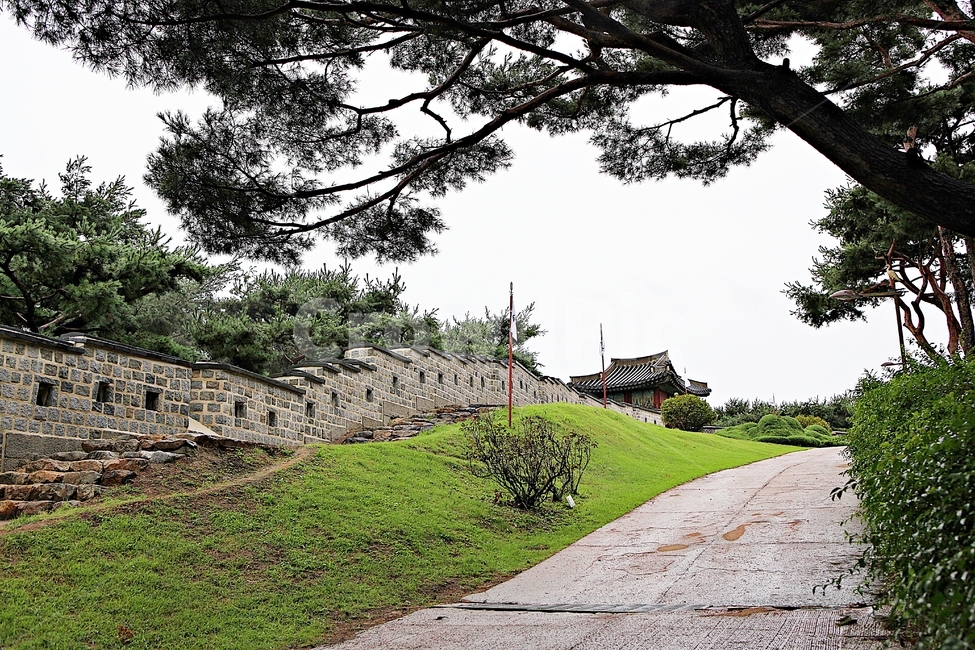 수원화성,성,성곽,길,둘레길,담,돌담,가을,자연,풍경,벽,방어벽,전통,흙담,식물,한국전통,한국문화,korean traditional,korean culture