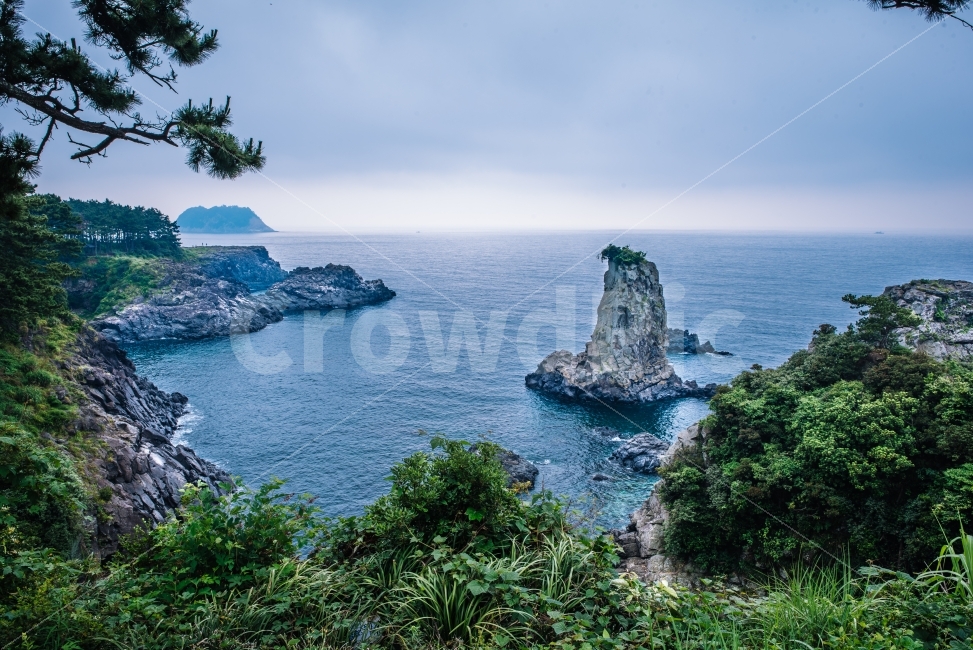 외돌개,서귀포,제주,제주도,한국,나무,풀,자연,관광,여행,풍경,바다,해안,바위,돌,하늘,나뭇가지,새,자연,풍경,nature,landscape,한국자연풍경,한국자연경관,korea nature landscape,제주도,jeju,jeju island,outdoors,옥외,land,땅,water,물,shoreline,해안선,ocean,대양,sea,coast,연안