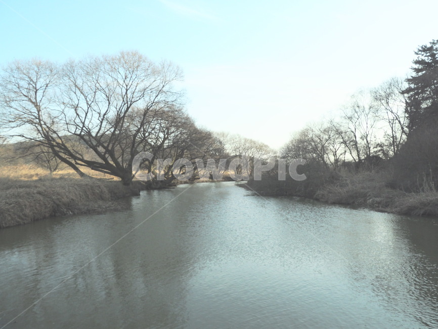 경남,창녕,우포늪,나무,연못,자연,풍경,nature,landscape,water,물,outdoors,옥외