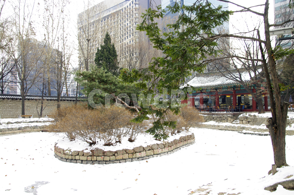 연못,나무,식물,plant,덕수궁,고궁,건축,전통건축,traditional,전통,기와지붕,담장,겨울,winter,풍경,설경,눈,겨울,계절,winter,season,한국전통,한국문화,korean traditional,korean culture,랜드마크,landmark,tourist attraction,한국랜드마크,한국관광지,한국명소,korea landmark,korea tourist attraction