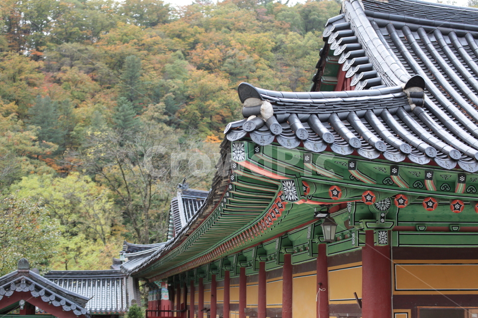 building,건물,architecture,건축물,temple,불교,사찰,한옥,전통