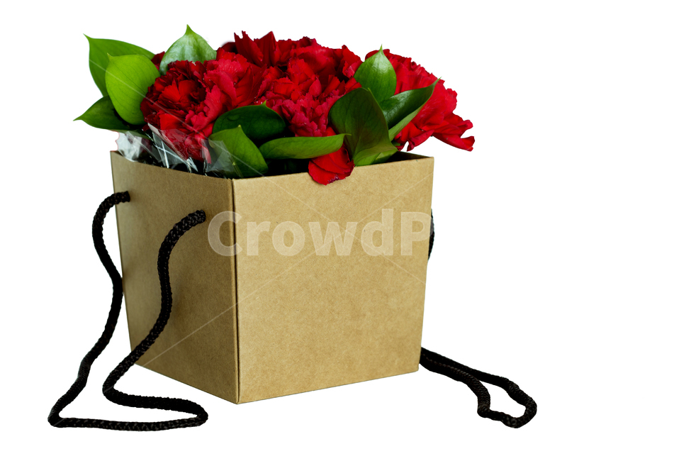 꽃,카네이션,꽃바구니,어버이날,빨간꽃,선물,봄,계절,spring,season,꽃,flower,기념일,축하,anniversary,congratulation,celebrate,celebration,연출,컨셉,콘셉,direction,concept,누끼,remove background,plant,식물,flower arrangement,꽃꽂이,flower bouquet,꽃 부케,blossom