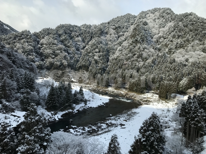 풍경,설경,여행,겨울,눈,자연,풍경,nature,landscape,겨울,계절,winter,season,tree,나무,plant,식물,fir,전나무