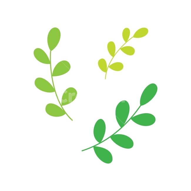 잎,식물,자연,초록,나뭇잎,여름,봄,일러스트,illustration,vector,design,plant,nature,leaf,green,그래픽,일러스트레이션,graphic,illustration