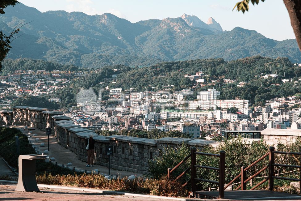 낙산공원,한양도성,도성,성곽,공원,서울,길,건물,건축물,벽,도시,옥외