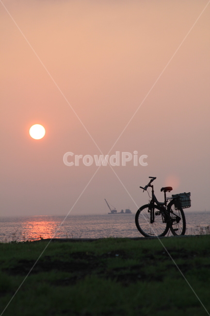 해안,일출,자전거,식물,자연,제주도,풍경,바다,plants,nature,rest,relaxation,healing
