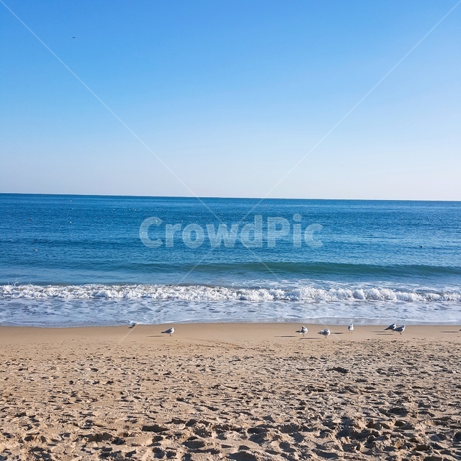 바다,파도,하늘,배경,모래사장,해변,바다,beach,sea