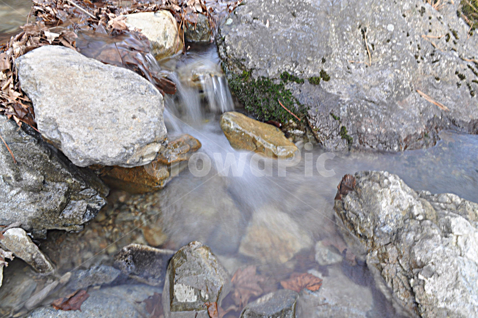 water,물,nature,자연,outdoors,작은만,creek,흐름,stream,옥외