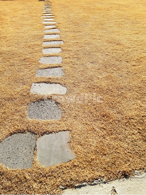 돌,돌바닥,돌길,잔디,겨울잔디,잔디밭,잔디풀,징검다리,돌다리,돌조각,길,산책로,산책길,디딤돌,로드,스톤,stone,stonefloor,stoneroad,lawn,winterlawn,steppingstone,grass,stonepieces,road,walk