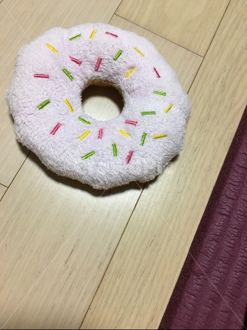 도넛,인형,장난감,분홍색,마루,donut,doll,pink,woodfloor