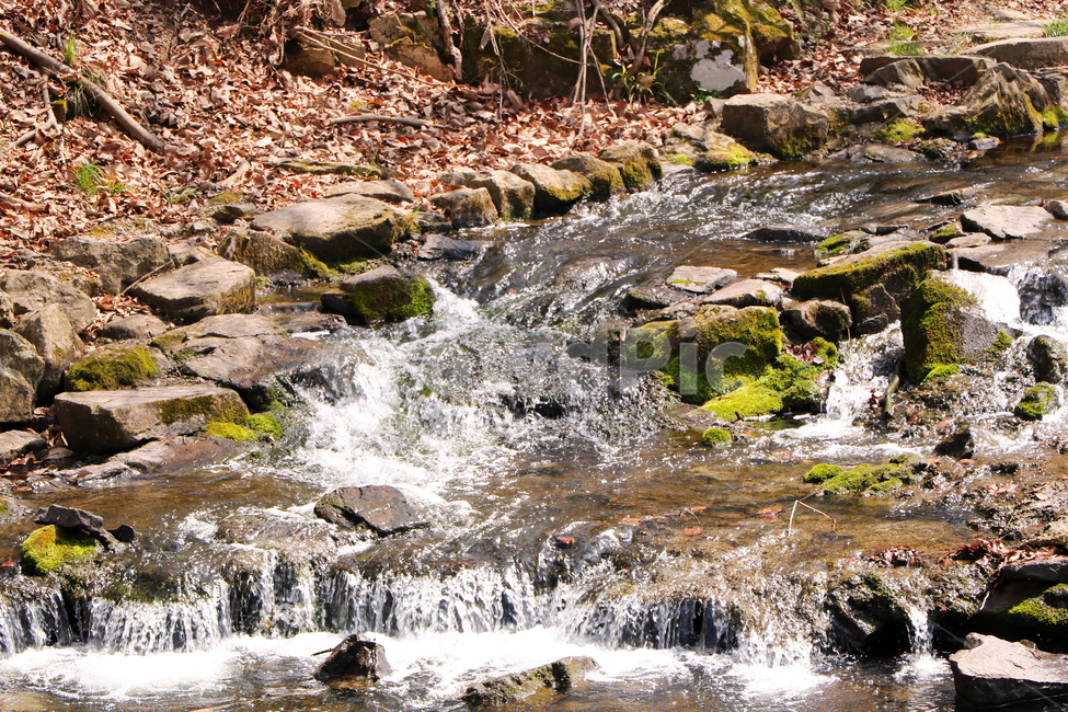 봄,강물,작은폭포,물,이끼,바위,돌,자연,풍경,nature,landscape,water,outdoors,옥외,stream,흐름,creek,작은 만