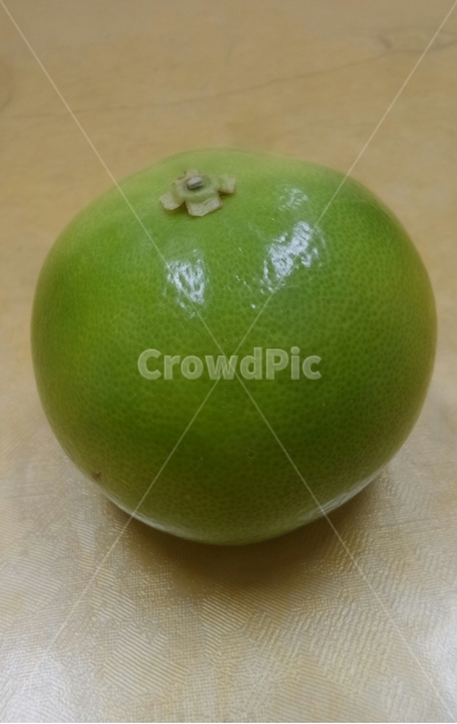 자몽,과일,운향과,메로골드,열매,식물,plant,음식,식재료,요리,food,cook,meal,dishes,food reserves,과일,열매,fruit