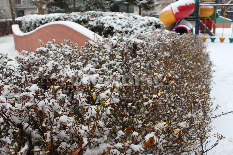 겨울,눈,snow,풍경,landscape,snowing,winter,겨울아침