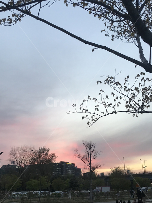 하늘,노을,야경,자연,공원,휴식,나무,그라데이션
