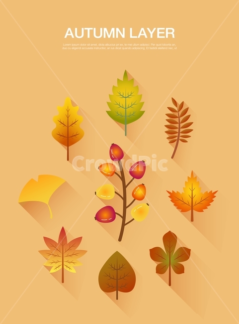 가을,레이어,가을레이어,낙엽,잎사귀,단풍,단풍잎,잎,은행,은행잎,일러스트,이미지,그림,활용,플랫,그라데이션,레이어모음,세트,소스,가을,계절,fall,autumn,season,그래픽,일러스트레이션,graphic,illustration,leaf,plant,식물