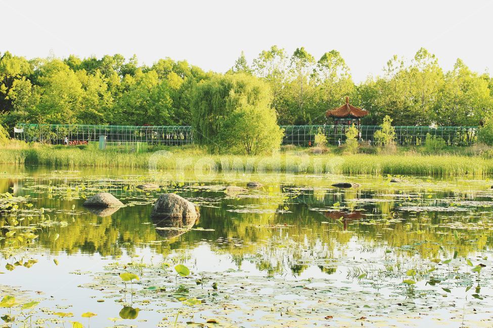 공원,빛,서울시,서울,벤치,초원,연못,빛내림,한적한공원,자연,풍경,nature,landscape,water,물,land,땅,outdoors,옥외