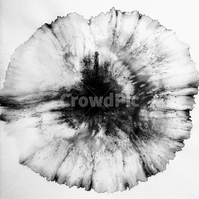 캘리그라피,먹번짐,먹꽃,화선지,자연스러운,번짐,캘리,calligraphy,inksmudging,inkflower,natural,smudging