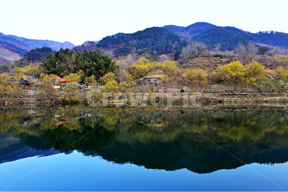 전남,구례,산동,산수유마을,산동산수유마을,산수유,산수유꽃,현천마을,저수지,반영,봄,계절,mountainrange,산맥,mountain,산,nature,자연,water,물,outdoors,옥외,자연,풍경,nature,landscape