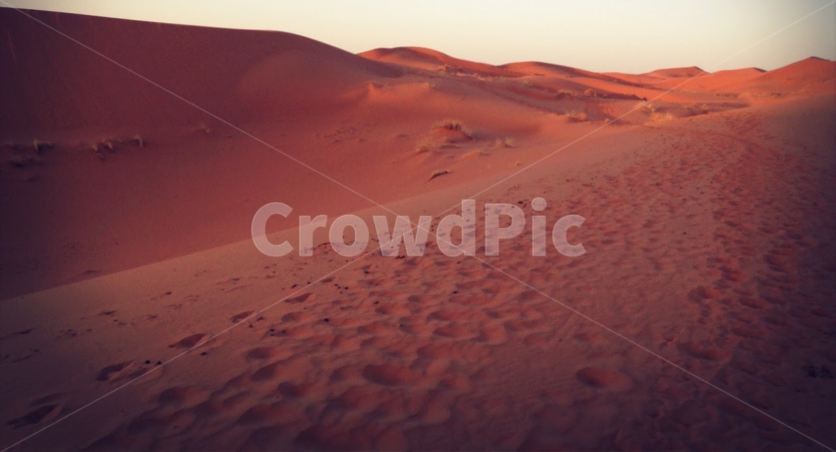 사막,사하라,풍경,여름,모로코,desert,sahara,morocco,summer,자연,풍경,nature,landscape,해외,외국,세계,foreign,oversea,world,세계자연풍경,해외자연풍경,외국자연풍경,world nature landscape,soil,흙,outdoors,옥외,sand,모래