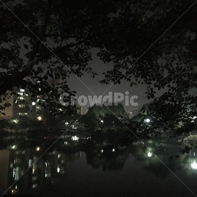 밤,안흥지,자연,빛,감성,야경,밤,풍경,nightscape,night,landscape,nature