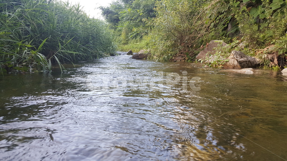 물,시냇물,계곡,냇물,도랑,자연,풍경,nature,landscape