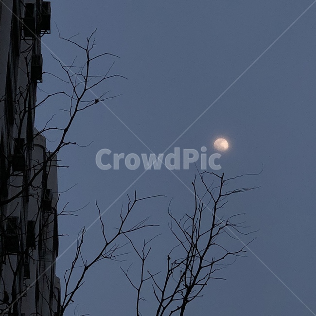 달,하늘,저녁,몽환,감성,moon,sky,noon