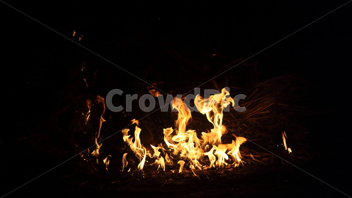 불,달집태우기,모닥불,fire,민속놀이