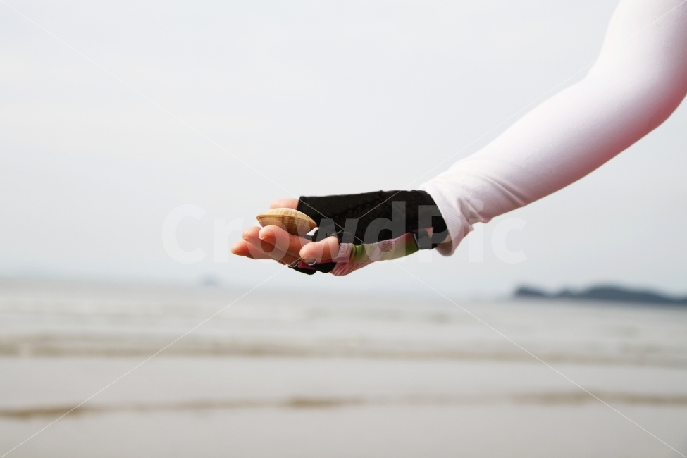 바다,손,해변,감성,조개,사람,인물,인간,human,person