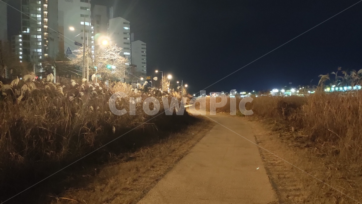 전주시,삼천천야경,야경,천변야경,도시천야경,삼천천,nature,자연,outdoors,옥외,flare,플레어,빛,light