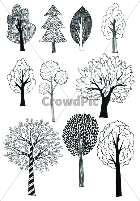 umbrage,hand drawing,tree,leaf,branch,pendrawing,handdrawing,bough,foliage,fan drawing,penpicture,twig,pen,penline,sprig,wood,fan line