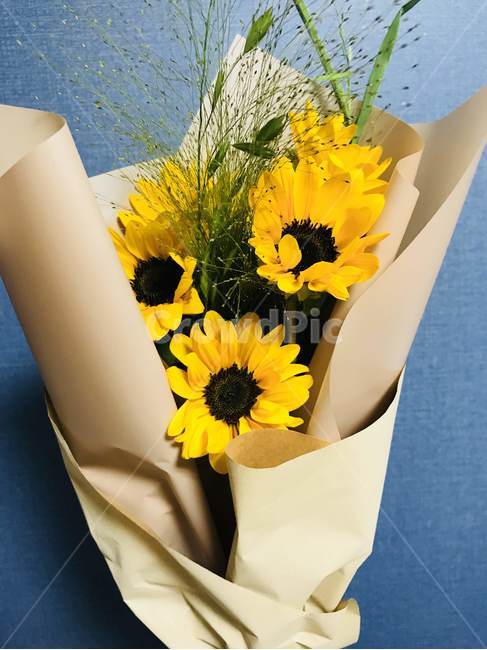 꽃,꽃다발,종이,해바라기,선물,커플,꽃,flower,기념일,축하,anniversary,congratulation,celebrate,celebration
