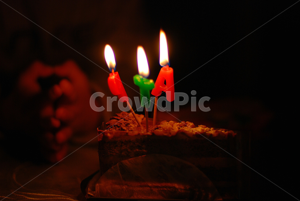 cake,케이크,food,음식,dessert,디저트,손,사람,축하,생일