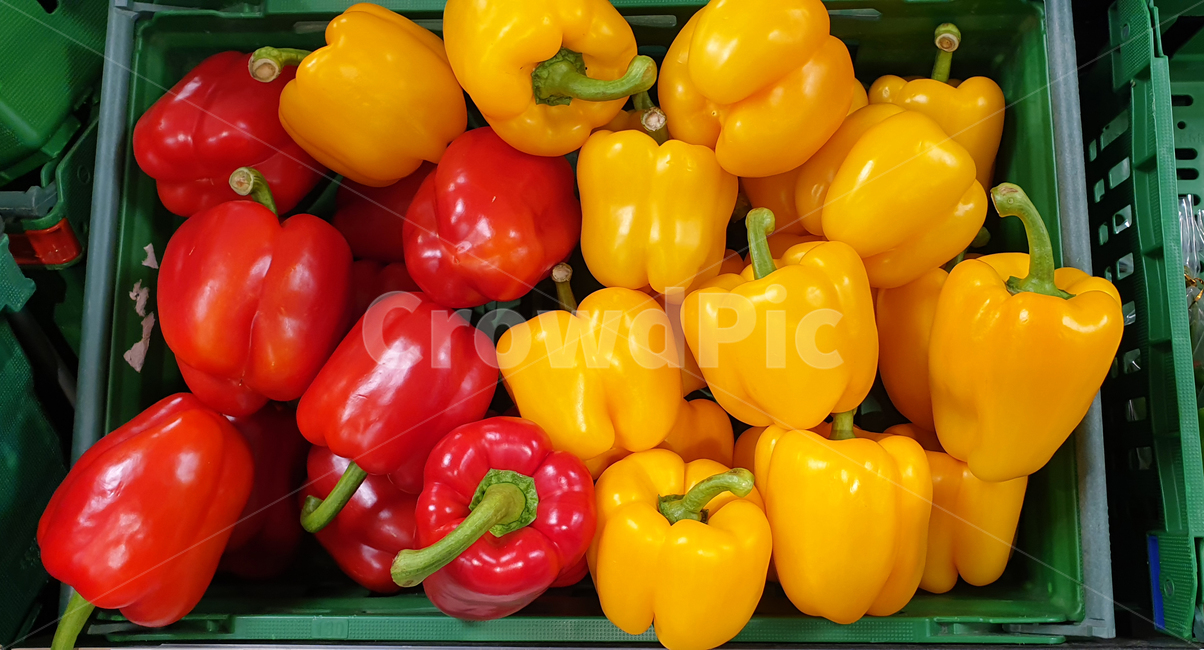 과일,야채,파프리카,노란색,빨간색,빨강,채소,야채,vegetables
