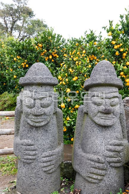 제주도,밀감,감귤,감귤농장,과일농장,과일,과수원,농장,노란과일,감귤류과일,비타민c,돌인형,돌,용암석,현무암,화강암,화산석,식물,나무,음식,제주도풍경,풍경,자연,가을,겨울,하르방,돌하르방,제주도인형,jejulsland,citrus,citrusfarm,citrusfruits,fruitfarm,orchard,fruitorchard,farm,vitaminc,tree,yellowfruit,fruit,citrusfruit,plant,food,sceneay,jejulslandscnery,nature,autumn,winter,rock,stonedool,lavarock,basalt,granite,volcanicstone,dolhareubang,hareubang